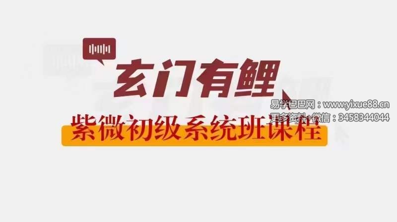 2023玄门有鲤 紫微初级系统班-优选易学